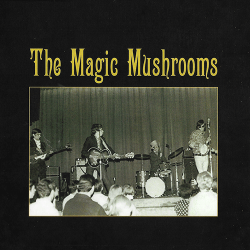 MAGIC MUSHROOMS - I'm All Ears // Pain - 7inch