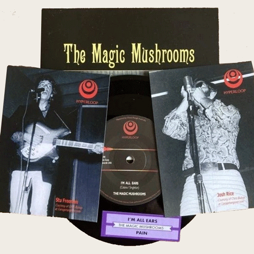 MAGIC MUSHROOMS - I'm All Ears // Pain - 7inch