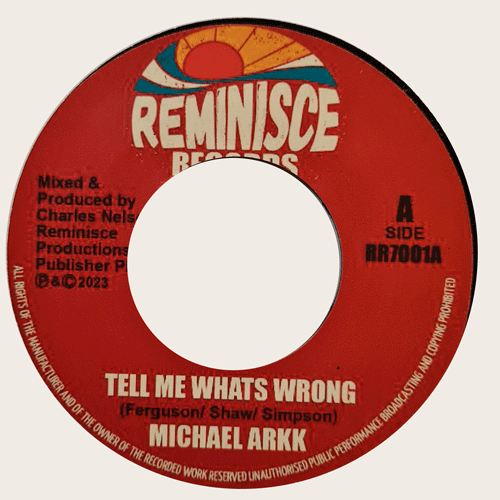 MICHAEL ARKK - Tell Me What's Wrong // A Telling Dub - 7inch
