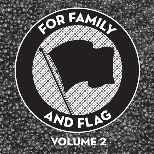 Various - FOR FAMILY AND FLAG Vol.2 - LP