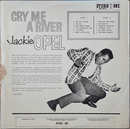 JACKIE OPEL - Cry Me A River - LP de segunda mano VG/VG