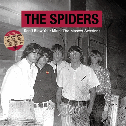 SPIDERS - Don't Blow Your Mind - LP (col. vinyl)
