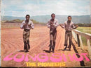 PIONEERS - Long Shot - LP