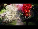 PAUL MESSIS & JESSICA WINTER - Sunflower // As Nightmares Turn To Dreams - 7inch