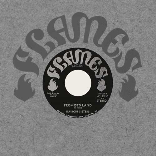 NAIROBI SISTERS - Promised Land // Dub - 7inch