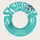 THE COOLMOODS feat. ROGER RIVAS - If I Were You // 301 - 7inch