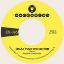 STEPHEN COLEBROOKE - Shake Your Chic Behind // Stay Away From Music - 7 pulgadas (disponible en vinilo de diferentes colores)