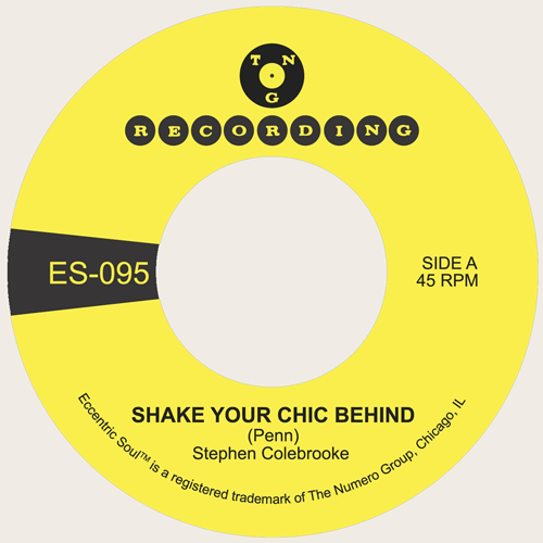 STEPHEN COLEBROOKE - Shake Your Chic Behind // Stay Away From Music - 7inch (diff. col. vinyl available)