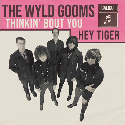 WYLD GOOMS - Thinkin Bout You // Hey Tiger - 7inch