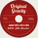 JUNIOR DELL & the D-LITES - Whole Lotta Skankin' - LP+CD BUNDLE