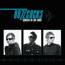 BUZZCOCKS - Sonics In The Soul - LP (col. vinyl)