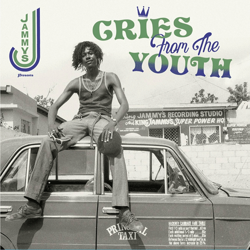 Various - CRIES FROM THE YOUTH - LP