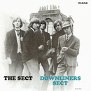 DOWNLINERS SECT - The Sect - LP