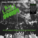 Various - BIG LIZARD STOMP - LP