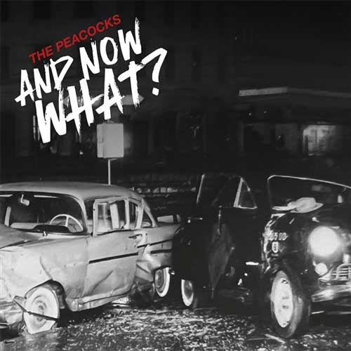 PEACOCKS - And Now What? - LP (col. vinyl)