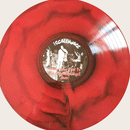 SCALLYWAGS - Move Your Feet To The ...! Live! - LP (col. vinyl)