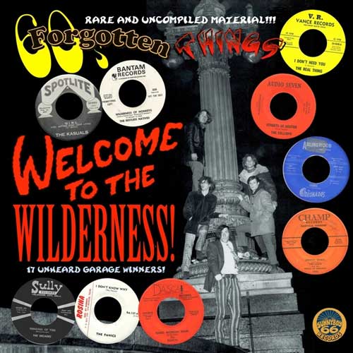 Various - 60s FORGOTTEN THINGS : WELCOME TO THE WILDERNESS! - LP (col. vinyl)