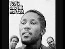 TOOTS and the MAYTALS - In The Dark - LP