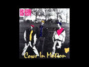 ES FEIV - Cows In Motion - LP