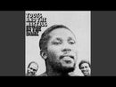 TOOTS and the MAYTALS - In The Dark - LP