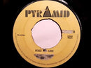 JUNIOR SOUL - Glendevon Special // ROLAND ALPHONSO - Peace and Love - 7inch