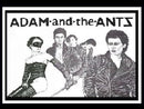 ADAM and the ANTS - Young Parisians // Lady - 7inch (col. vinyl)