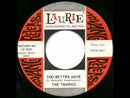 TROPICS - As Time's Gone - LP