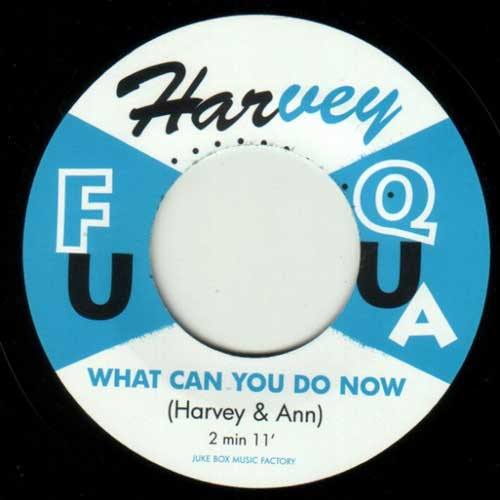 HARVEY & ANN - What Can You Do Now - 7inch