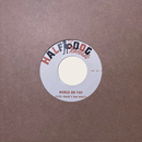 STEVE TRAIN'S BAD HABITS - World On Fire // You'll Be Gone - 7inch