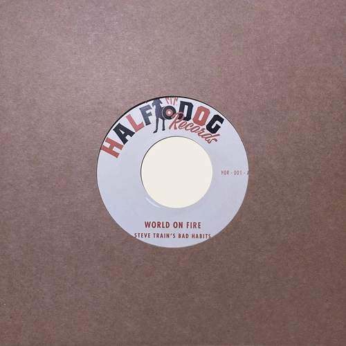 STEVE TRAIN'S BAD HABITS - World On Fire // You'll Be Gone - 7inch