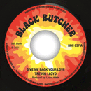 TREVOR LLOYD - Give Me Back Your Love // Hold Me - 7inch