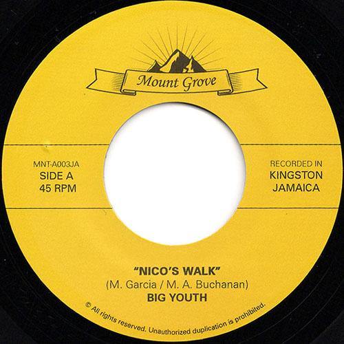 Big Youth - Nico's Walk // Powerdrill - The Day Is Dawning - 7" - Copasetic Mailorder
