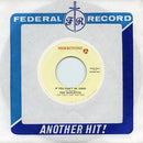 The Gaylettes - If You Can't Be Good - 7"