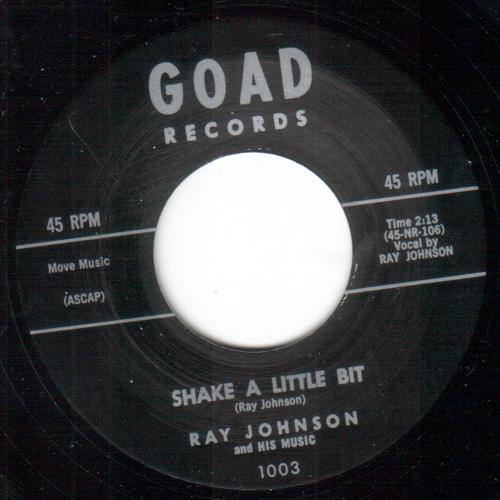 Ray Johnson - Shake A Little Bit - 7"
