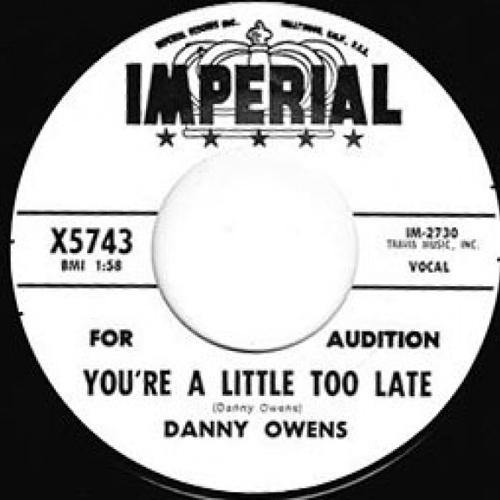 DANNY OWENS – YOU’RE A LITTLE TOO LATE // I THINK OF YOU - 7" - Copasetic Mailorder