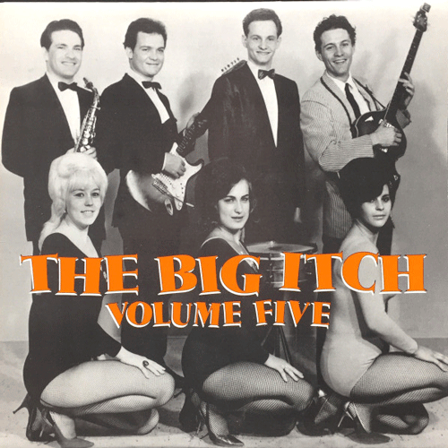 Various - THE BIG ITCH Vol. 5 - LP