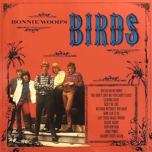 BIRDS - Ronnie Wood's Birds - LP