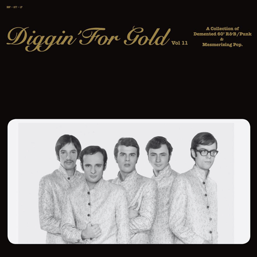Various - DIGGIN FOR GOLD Vol.11 - LP