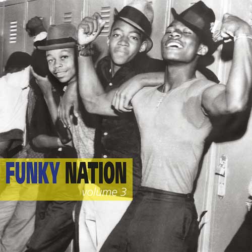 Various - FUNKY NATION Vol.3 - LP