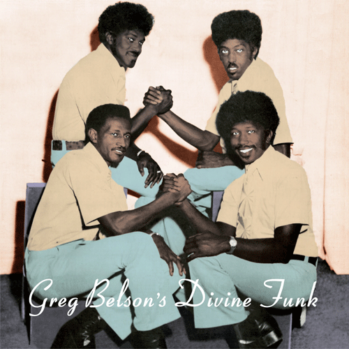 Various - GREG BELSON'S DIVINE FUNK - LP