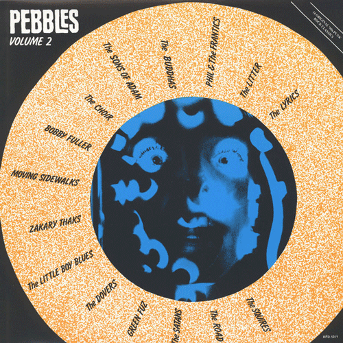 Various - PEBBLES Vol.2 - LP (sleeve slightly damaged)
