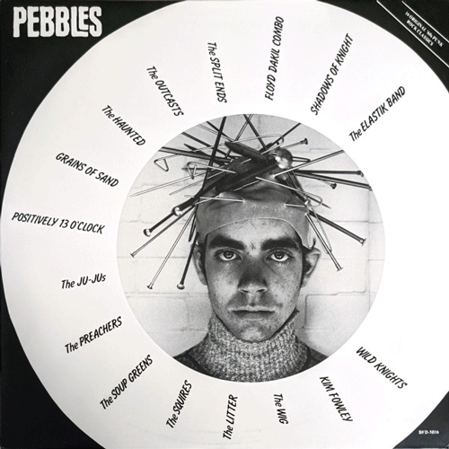 Various - PEBBLES - LP (sleeve slightly damaged)