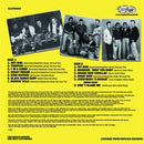 RICOCHETS - Made In The Shade - LP (available in diff. colors) - Copasetic Mailorder