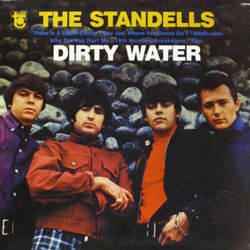 STANDELLS - Dirty Water - LP