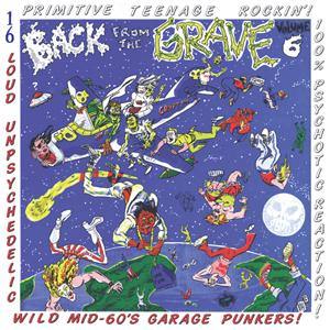 Back From The Grave Vol6 LP