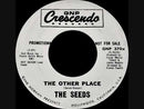 SEEDS - The Other Place // Try To Understand - 7inch