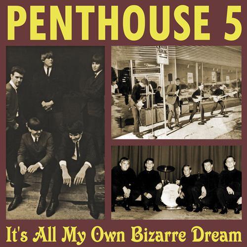 Penthouse 5 - It's All My Own Bizarre Dream - LP+7" - Copasetic Mailorder